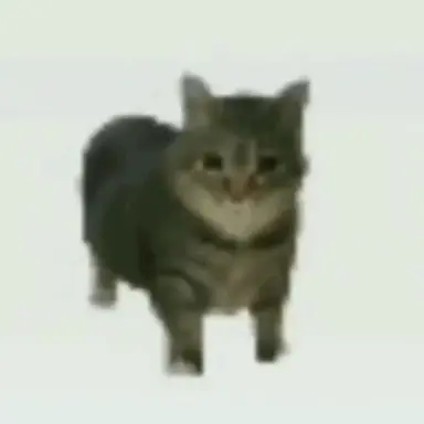 Profile image of 오이이아 캣