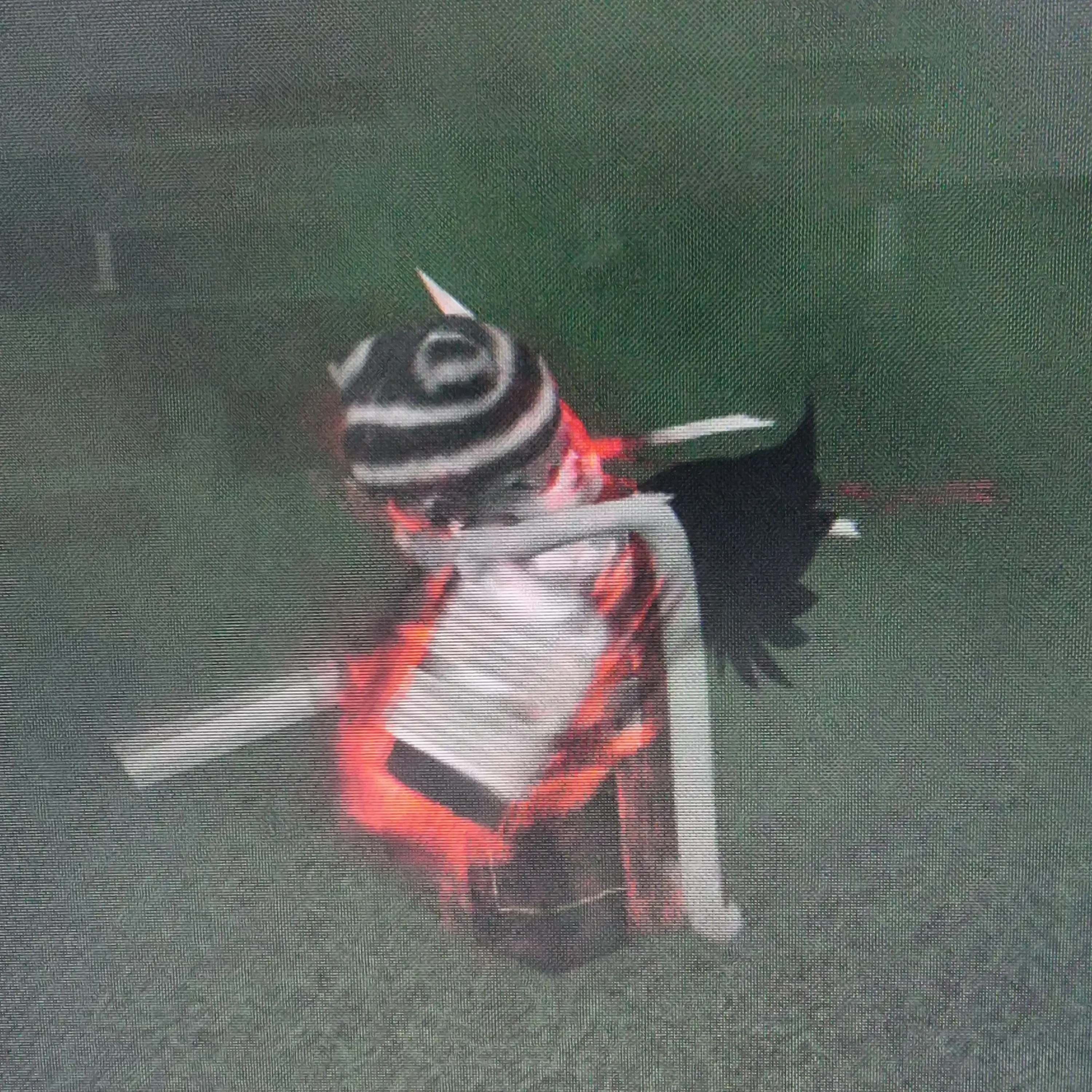 GOAT_JOAT의 [가강전]좀비바이러스./2화/