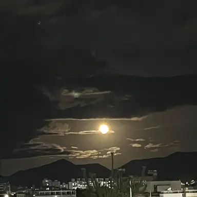 Profile image of 메틸다