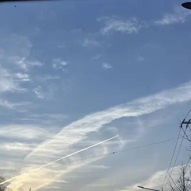 Profile image of 코린