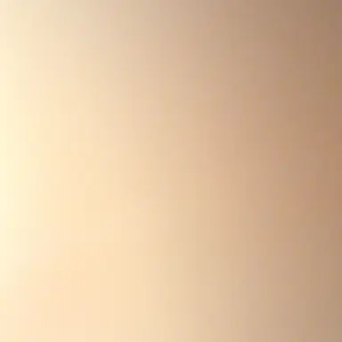 Profile image of 시녀 1