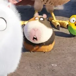 Profile image of 노먼