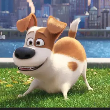 Profile image of 맥스