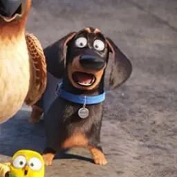 Profile image of 버디