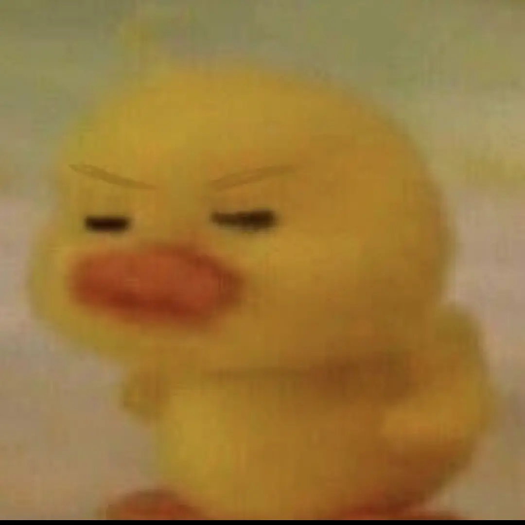 UwU.bini의 시청자들