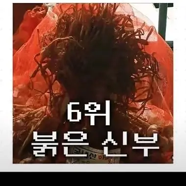 Profile image of 붉은신부