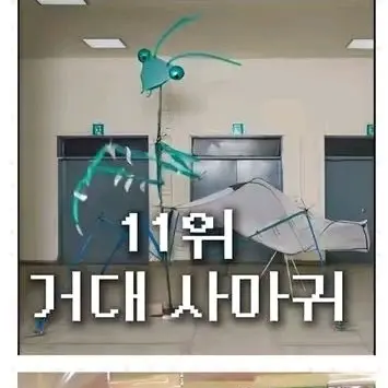 Profile image of 거대 사마귀