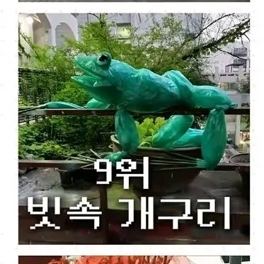 Profile image of 빗속개구리