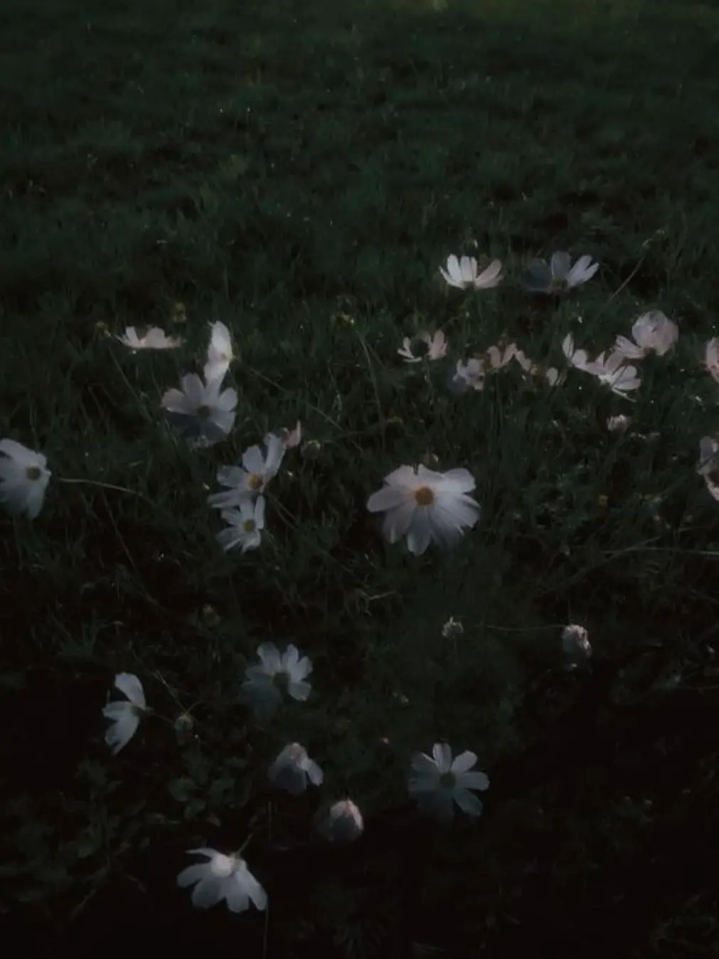 U_kz._.의 いとこのお兄ちゃん❤︎