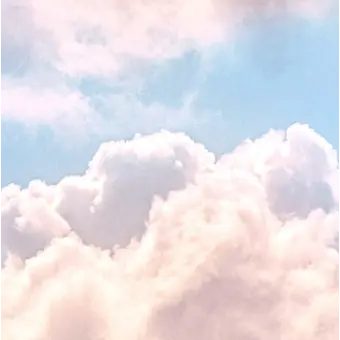 CurvyWin7199의 싸이코드