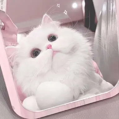 Profile image of ゴヌ