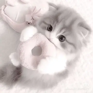 Profile image of サンウォン