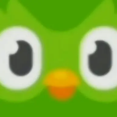 Profile image of 듀오링고