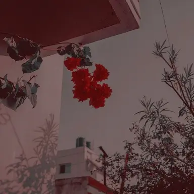 Profile image of 플래그