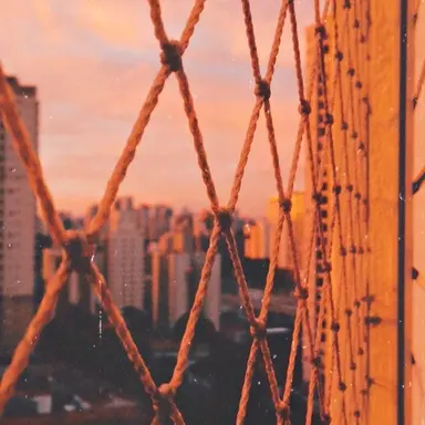 Profile image of 코마