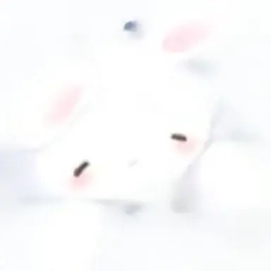 Profile image of 토순이