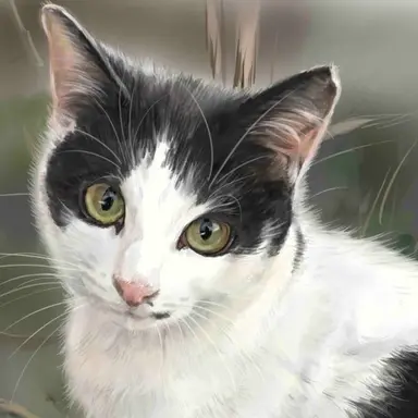 Profile image of 月