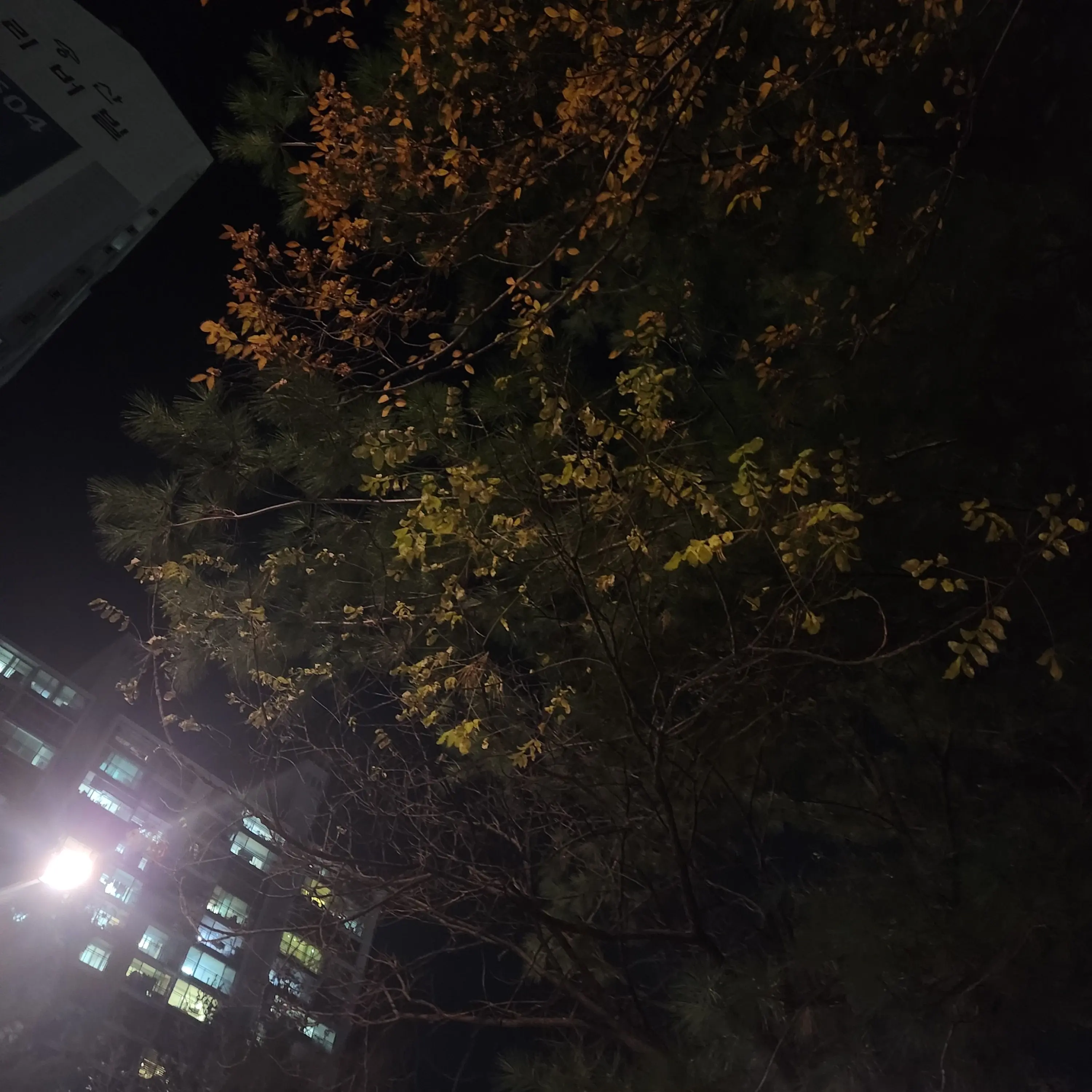 bgh2115의 이창섭