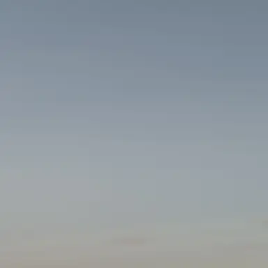 Profile image of 잠뜰