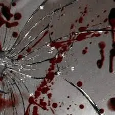 SpikyStone1347의 Vampire roommates