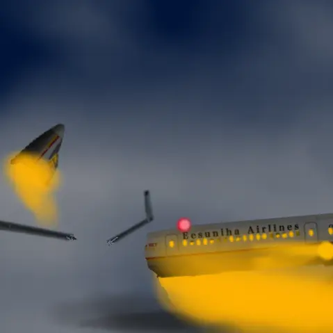 Eesuniha의 航空事故