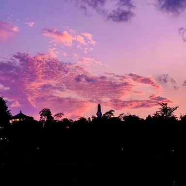 Profile image of 수현