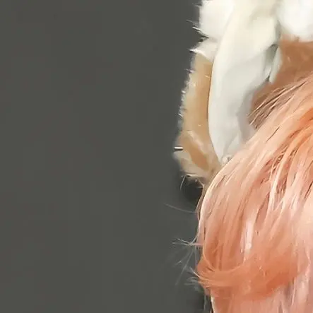 JJUNNi의 나에게 유일한 의지