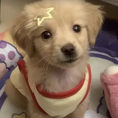 Profile image of 보리