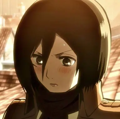 Profile image of ミカサ・アッカーマン