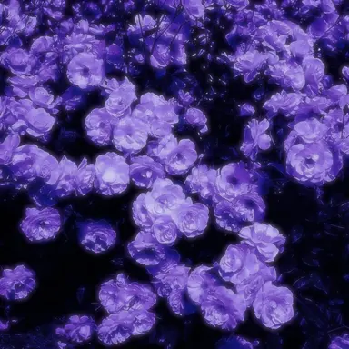 Profile image of シオン