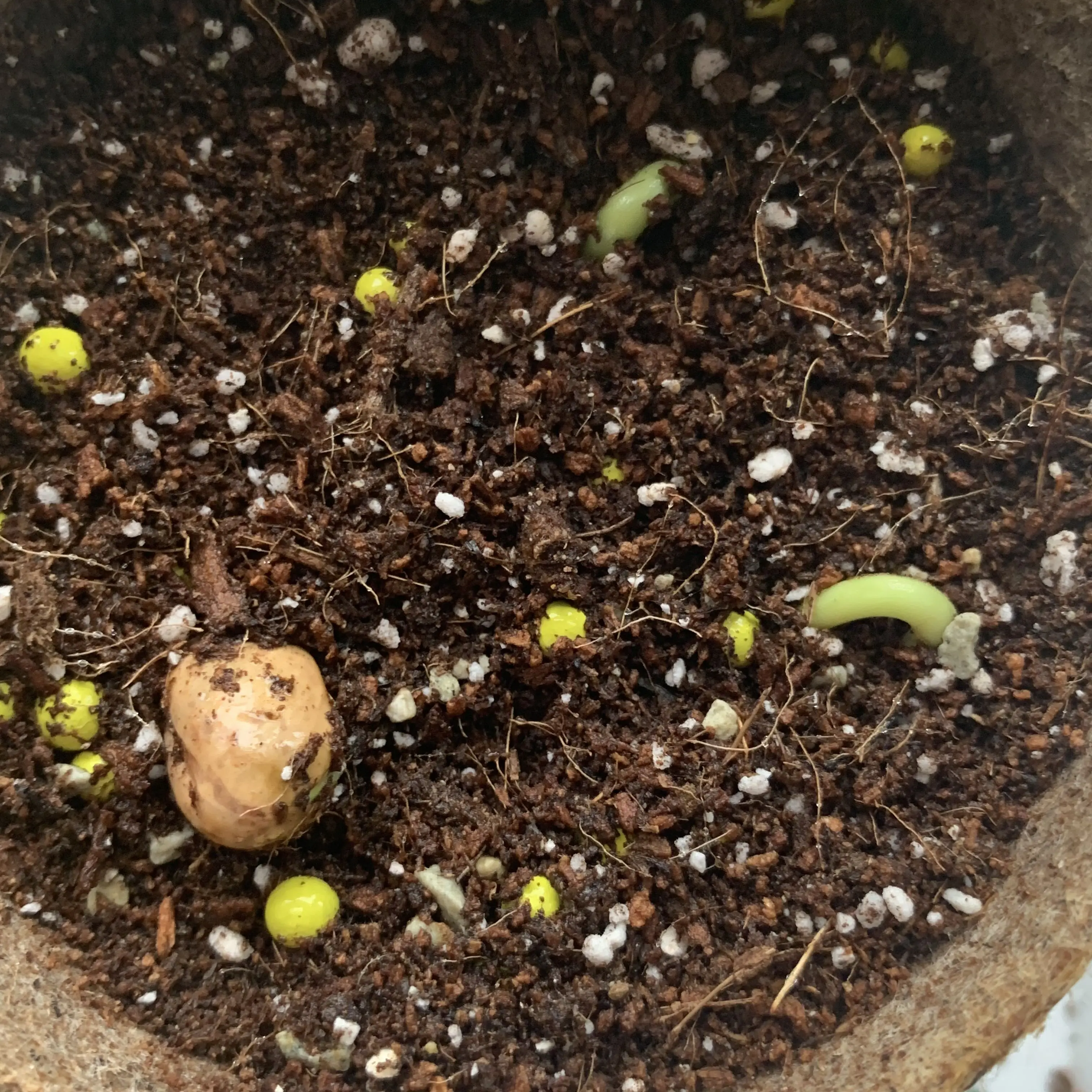 Guestonetwothree의 .