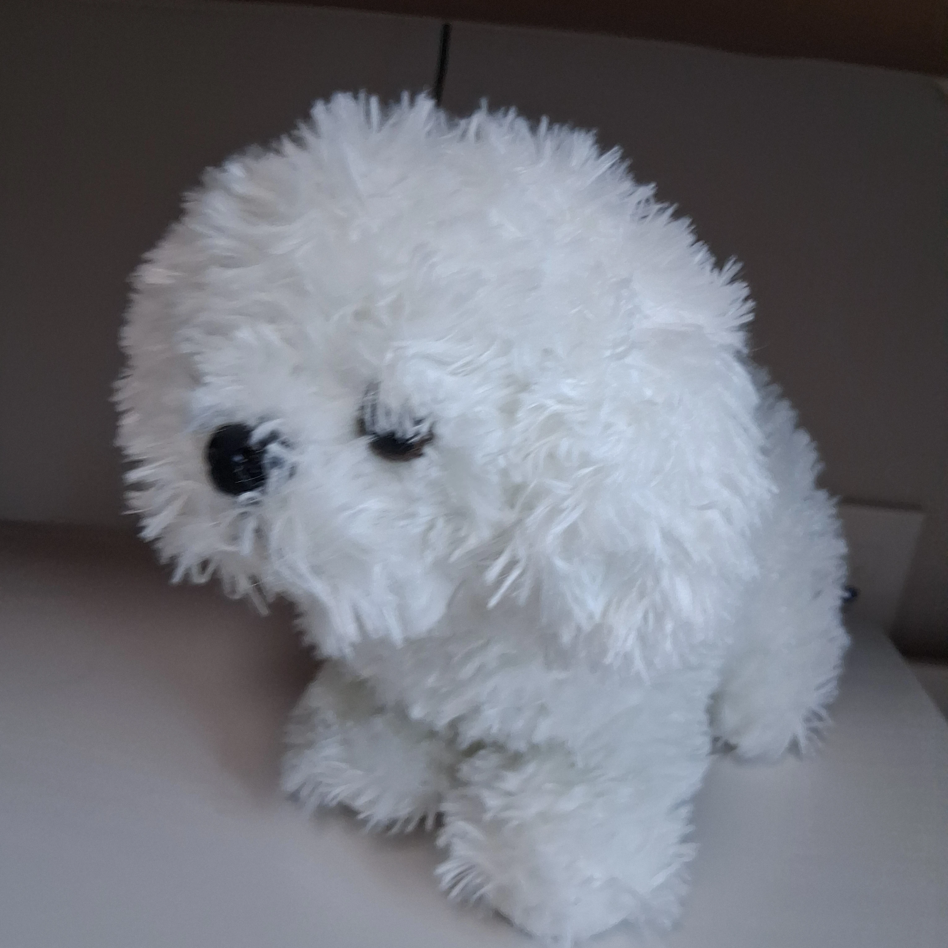 베리