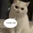 뜰팁