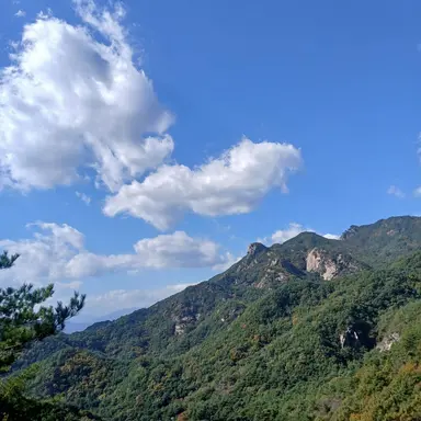 Profile image of 잠뜰