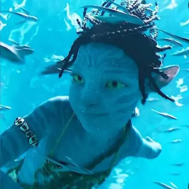 Profile image of 투크티리