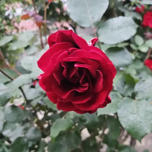 Yh4653의 하루야