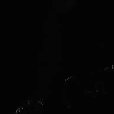 Profile image of ㄱㄷㅎ