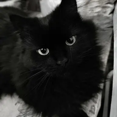 Profile image of 아이자와 쇼타