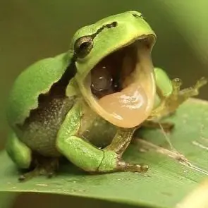 Profile image of 아스이 츠유