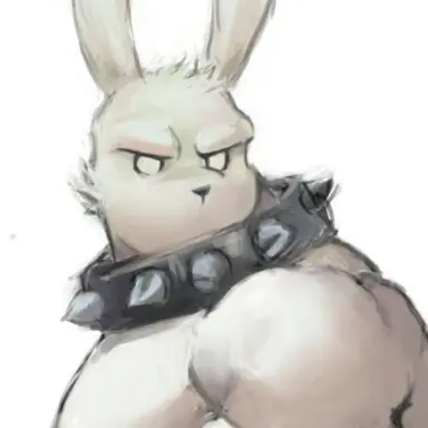 Profile image of 강보리