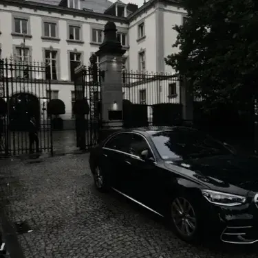 PrimHero6893의 Mafia family -Female Version-