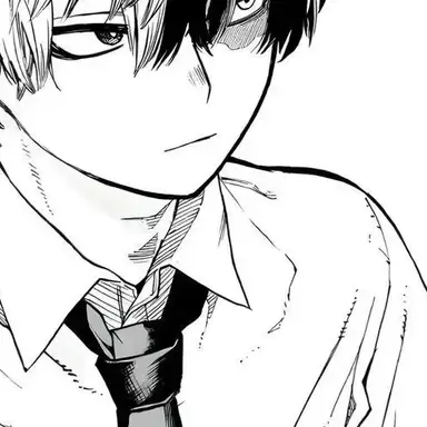 Profile image of Todoroki Shoto