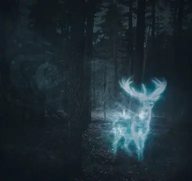 Profile image of Harry Potter
