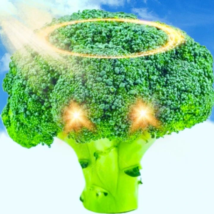 김철수