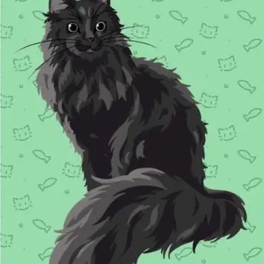 Profile image of Momo