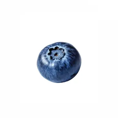 Profile image of 塩﨑太智