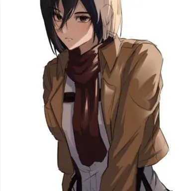 Profile image of 미카사