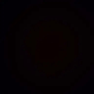 Profile image of 김 동 현