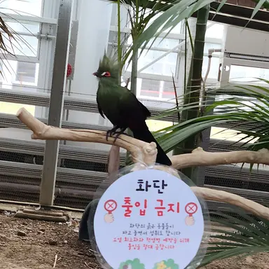 Profile image of 키부츠지 무잔