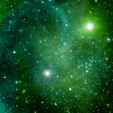 Profile image of 猛原禽次郎